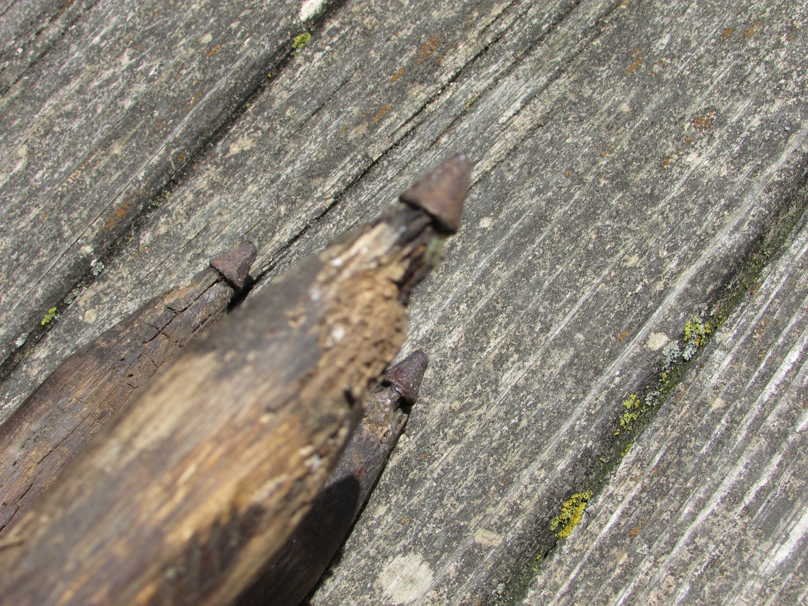 Antique 1920s-40s SURVEYORS 3 Leg TRIPOD & Metal MOUNTING Plate ASH Hardwood 60”