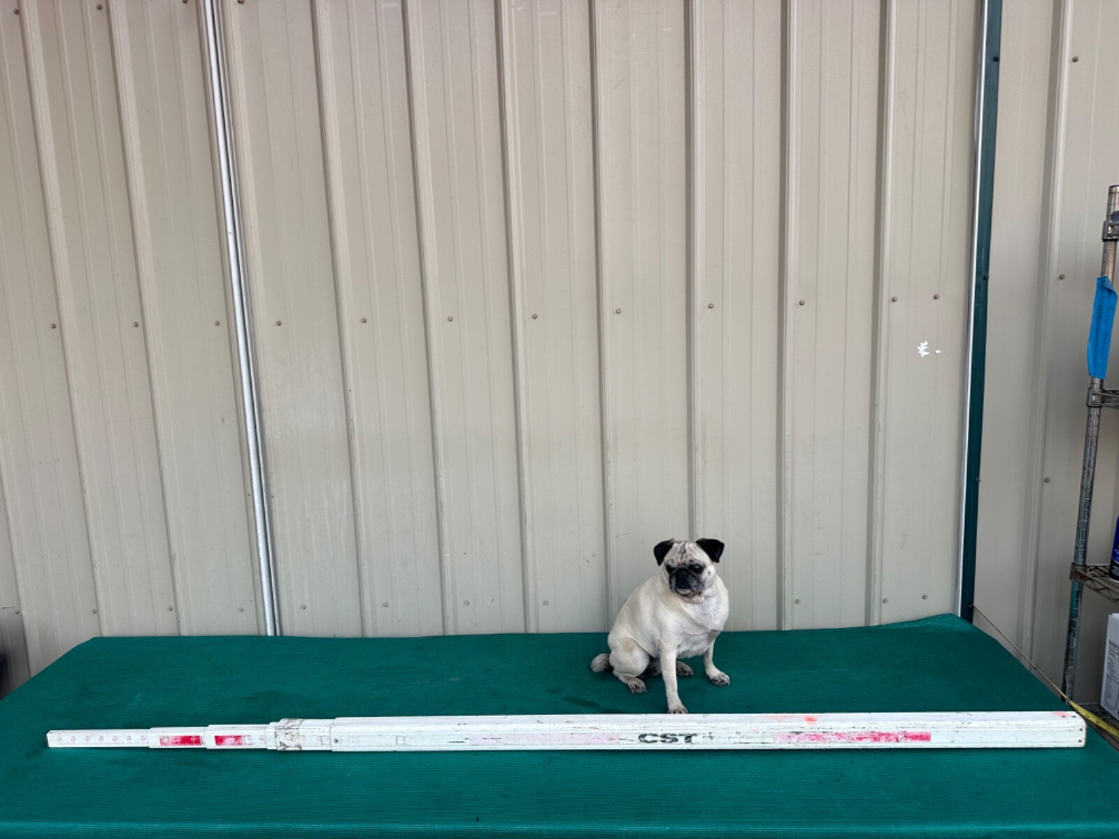 CST Brand 25 ft Fiberglass Rectangular-Shaped Leveling Telescoping Surveyor Rod